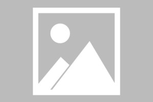 体育平台-包含热传：约基奇姆巴佩获得西甲金的词条